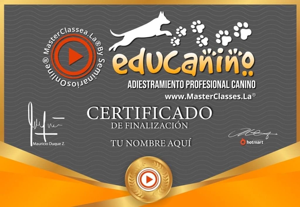 certificado o diploma del curso de adiestramiento canino
