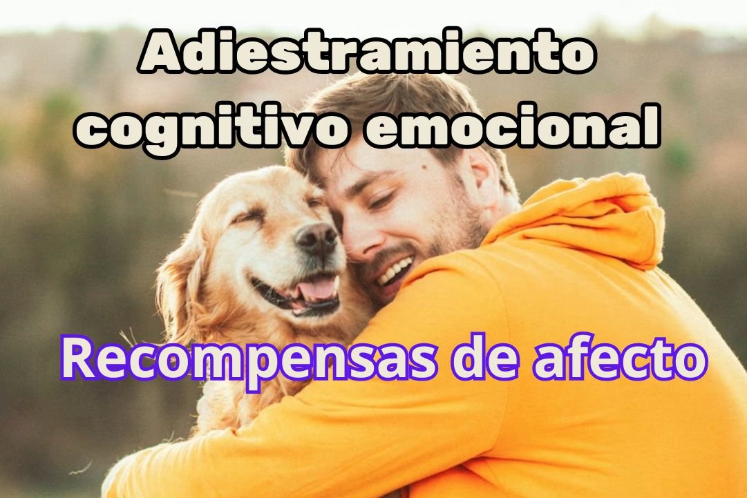 Adiestramiento cognitivo emocional abrazando a un perro